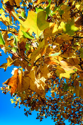 Similar image 19560356