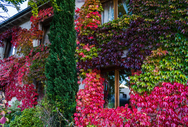 Similar image 19560299