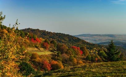 Similar image 19560309