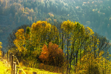 Similar image 19560311