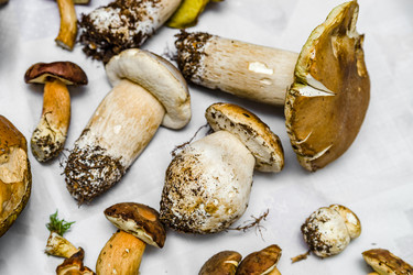 Similar image 19560312