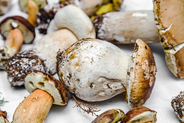 Similar image 19560313