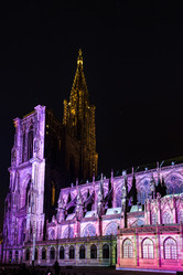 Similar image 19560158