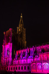 Similar image 19560159