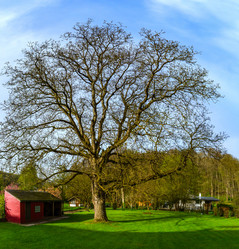 Similar image 19560491