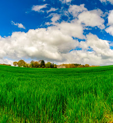 Similar image 19560497