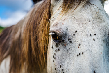 Similar image 19560516