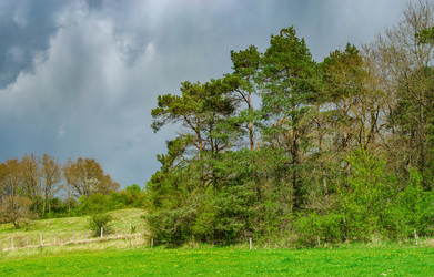 Similar image 19560527