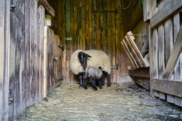 Similar image 19560530