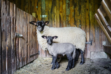 Similar image 19560534