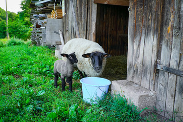 Similar image 19560535