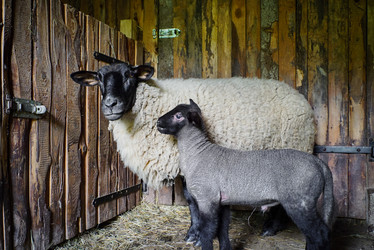 Similar image 19560536