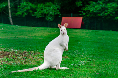 Similar image 19560558