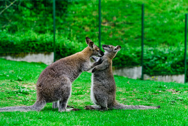 Similar image 19560569