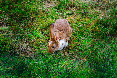 Similar image 19560573