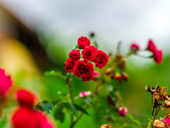 Similar image 19561192