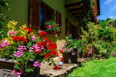 Similar image 19561211