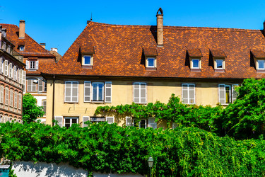 Similar image 19561251