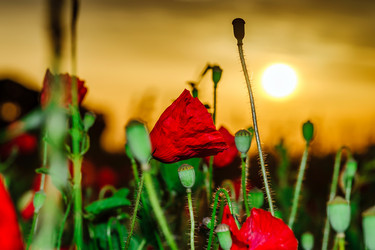 Similar image 19561253