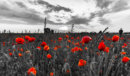 Similar image 19561257