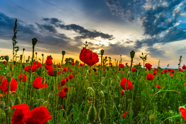 Similar image 19561272