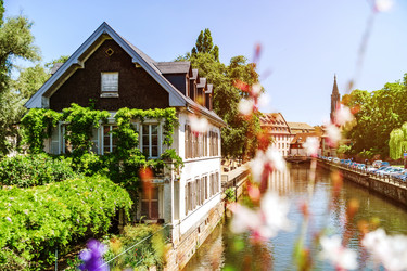 Similar image 19560520