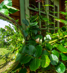 Similar image 19561217