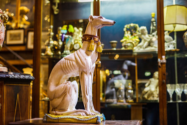 Similar image 19561320