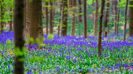 Similar image 19560326