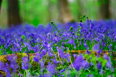 Similar image 19560327