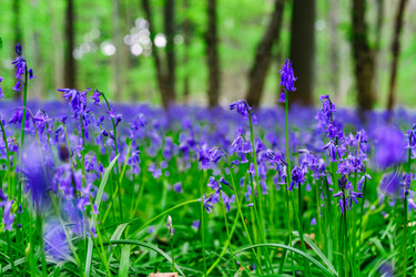 Similar image 19560375