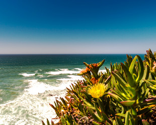 Similar image 19560362