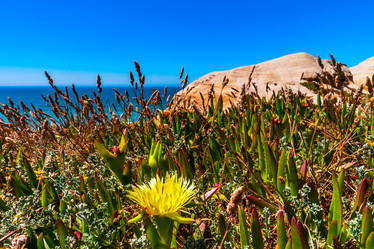 Similar image 19560366