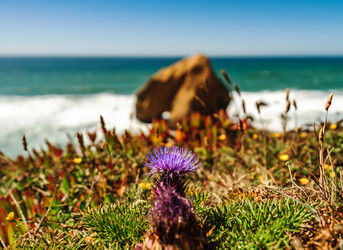 Similar image 19560367