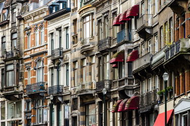 Similar image 19561384