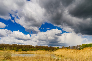 Similar image 19561411