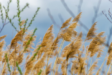 Similar image 19561419