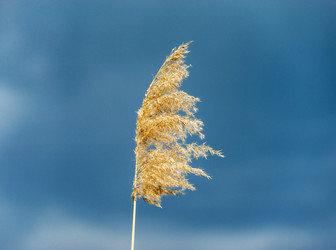 Similar image 19561422