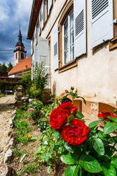 Similar image 19560373