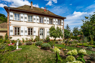 Similar image 19560377