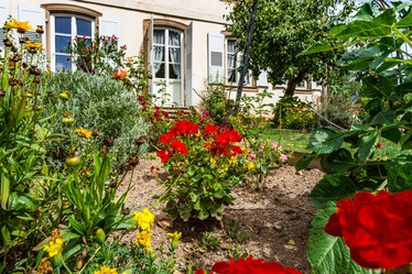 Similar image 19560380