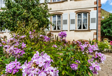 Similar image 19560386