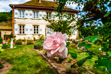 Similar image 19560394