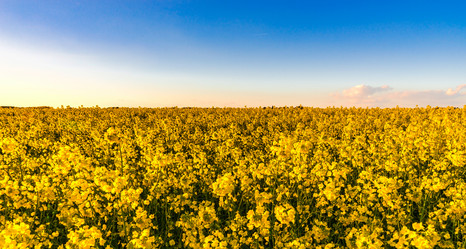 Similar image 19560490