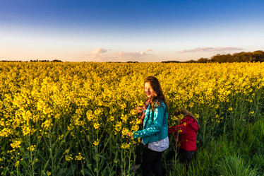 Similar image 19560552