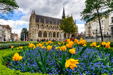 Similar image 19560582