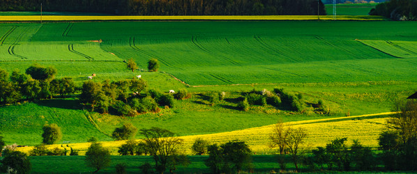 Similar image 19560584