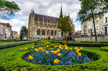 Similar image 19560587