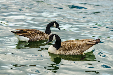 Similar image 19561140