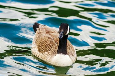 Similar image 19561143